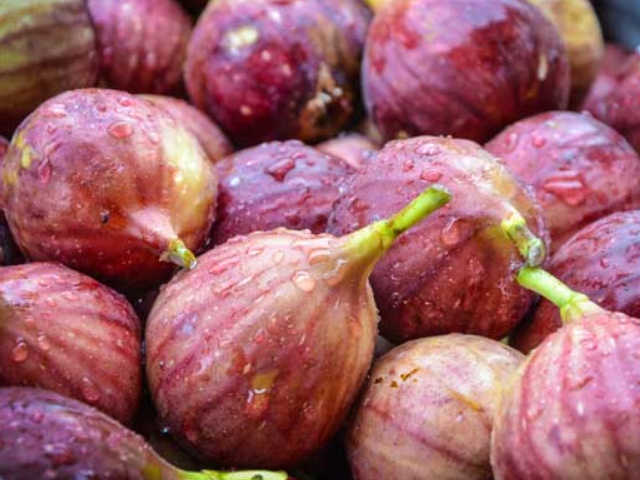 『苦瓜』尿酸高的人注意，每天坚持吃这4种食物，或助你排出体内多余尿酸