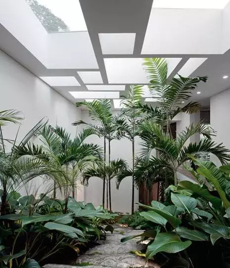 【】打造一个美美的院子，享受生活的安静与悠闲