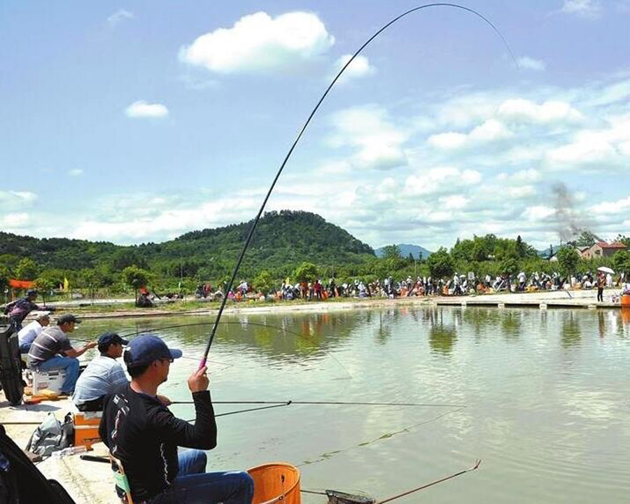 「」给塘主交学费，看别人爆护？为什么要去黑坑钓鱼，我给出三点理由