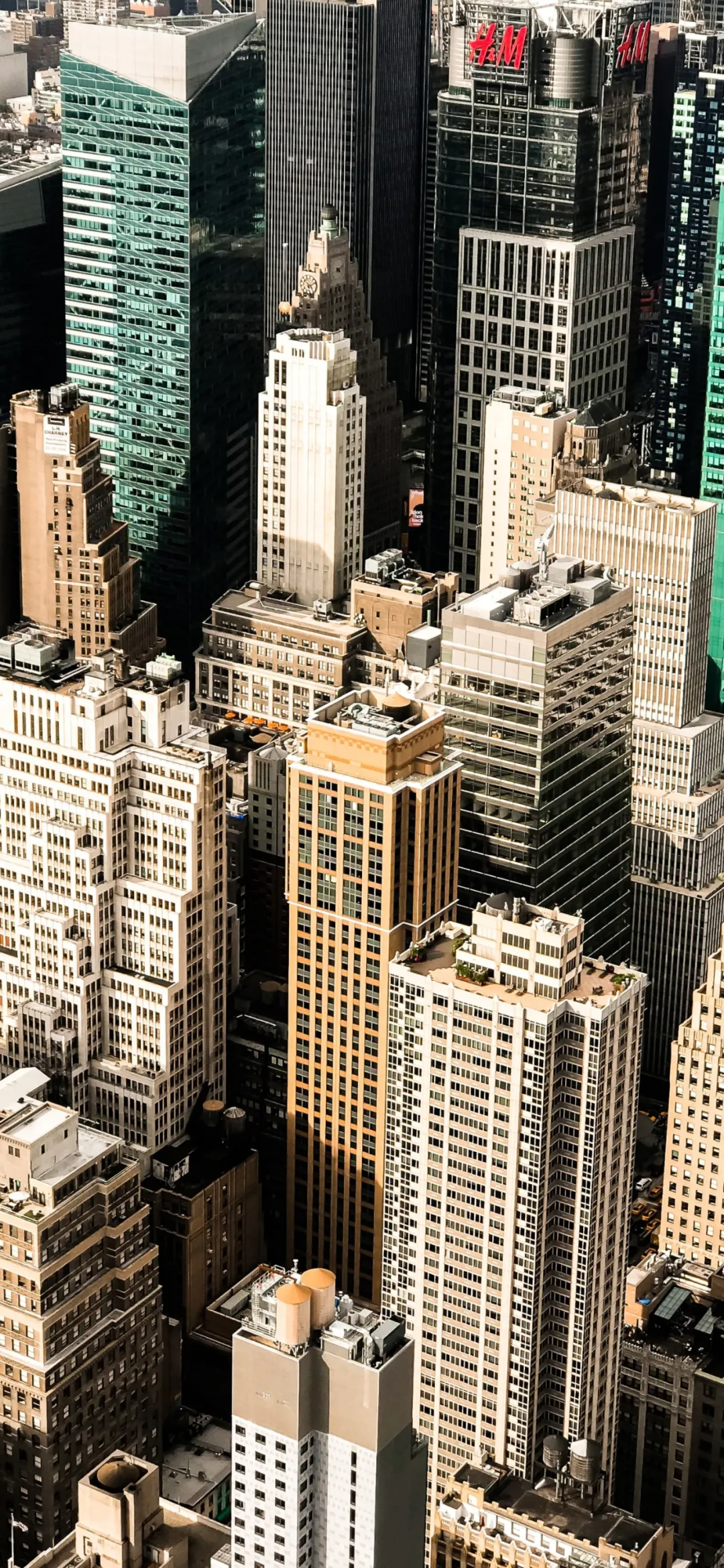 记摄人间|手机壁纸美图 | 别认输，天黑过后就是日出