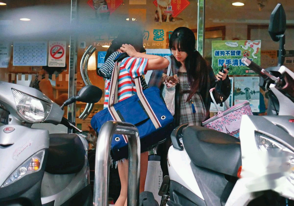 『郭碧婷』台媒曝郭碧婷已怀孕6个月，肚子隆起很明显，大腹便便走路迟缓