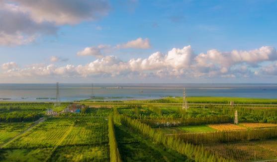 「崇明岛」除了台湾岛、海南岛、崇明岛和舟山岛,你知道中国第五大岛在哪吗?