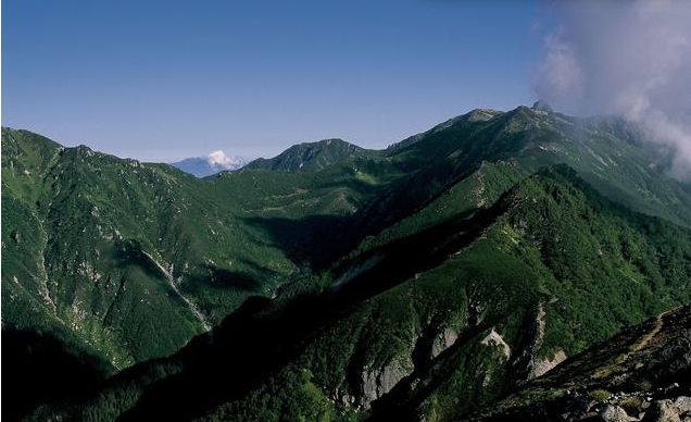 【生肖】5月21.22.23号闷声发大财，钞票手到擒来，再穷也能暴富的3生肖