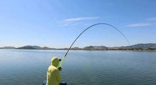 延平@夜钓鲤鱼，这套钓法最好用，大鲤鱼接连入护——盛世三渔