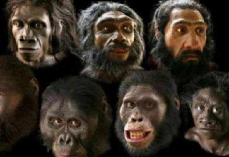 火星|颠覆常有认知：人类真正的起源是金星，而非地球？