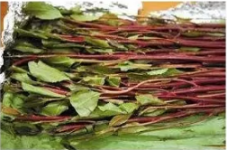 #济南#新型毒品难辨认？禁毒民警教您慧眼识毒