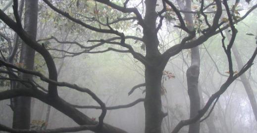 天花■古代五大“绝症”,古人得了这五种病,基本就要给自己准备后事了