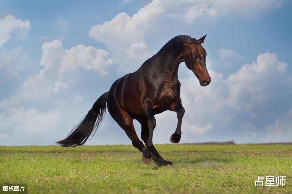 [水星]（周运）克里斯托弗_4月27至5月3日星座运势：乱局之下的机会