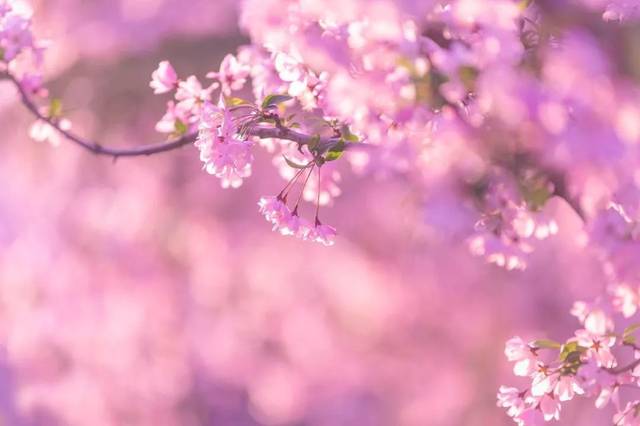 「生肖」明天起：大运大喜找上门，横财不请自来，5月财势上上签，6月天天开口笑