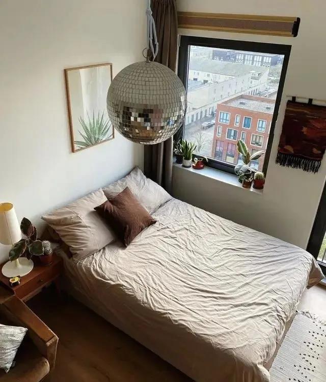 |发现一户男孩的家，那叫一个干净整洁，满屋子的绿植，超懂生活