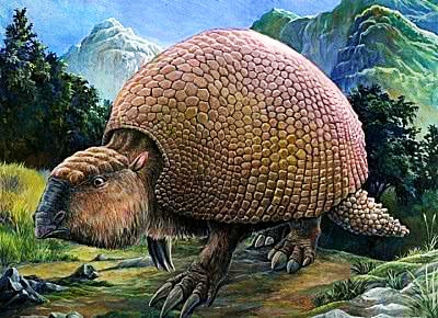 「哭笑不得」南美的装甲巨兽，重达两吨没有天敌，灭绝原因让人哭笑不得！