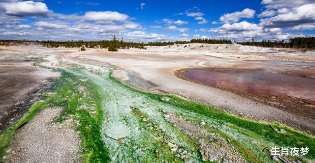 #生肖#6月起，怦然心动，湖边邂逅旧情人，3生肖转角遇到爱，再次牵手