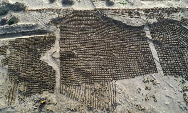 撒哈拉沙漠|撒哈拉沙漠在扩张,亚马逊雨林面积缩小,中国沙漠植树成功了吗?