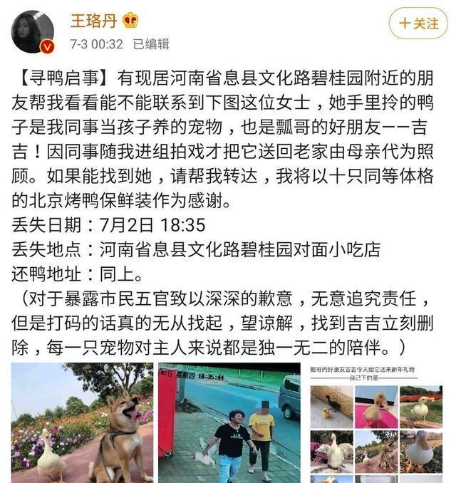 王珞丹|王珞丹寻鸭事件大分析，顺手牵羊的大妈到底该不该被“网暴”