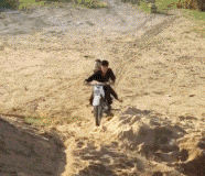 壁虎|“买了个壁虎,为啥越长越大了...”哈哈哈...基因变异?