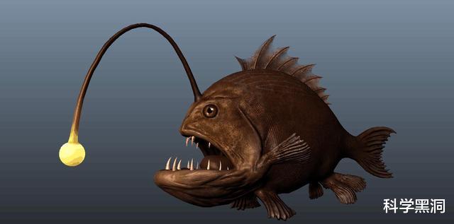 「科学家」这种雄鱼很卑微，把“软饭”吃到极致，最终变成雌鱼的部分器官