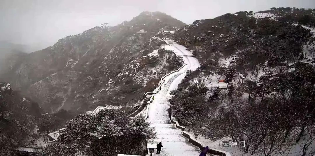 泰安|瑞雪丰年，国泰民安！看，泰安今冬第一场雪，下成这般仙境模样！