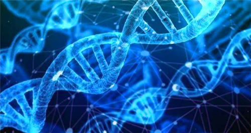 科学家■人类真的没有天敌吗?科学家指出一种凶狠动物,差点吃光人类祖先