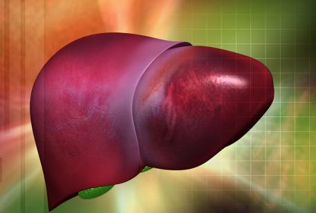 肝脏|肝病\救星\找到了,不是猪血,没事泡点,清理肝毒,肝越来越好