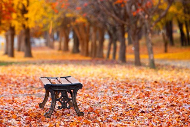 【生肖】4月厄运缠身，5月财源滚滚，得财得势，宏图大展一夜暴富3生肖