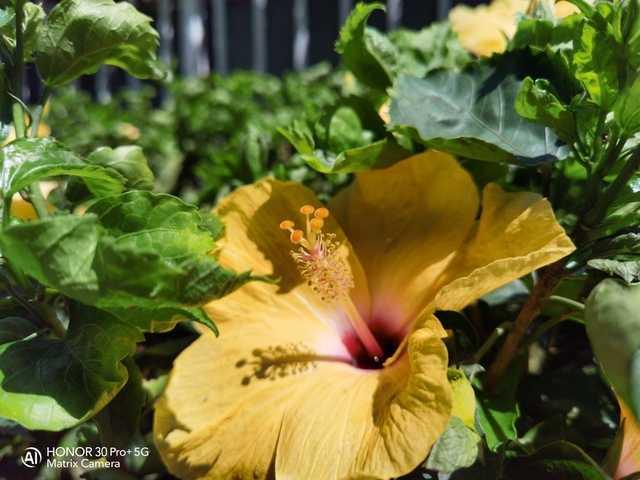 5G|5G全面普及?还没更换5G新机的你还在等什么?