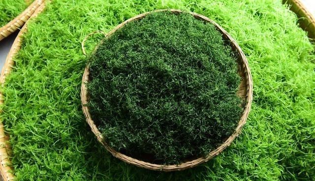 高血压|高血压的“祸端”不仅是盐！4物若不忌口，吃再多降压药也白费