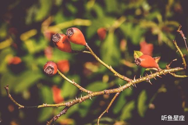 【运势】农历几月出生的女性,天赐良缘,婚后儿女双全,富贵终生