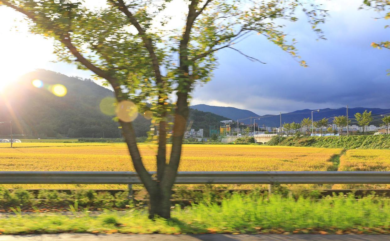 天蝎座|7月桃花依旧,蓦然回首,你我不分,从心相爱的3个星座