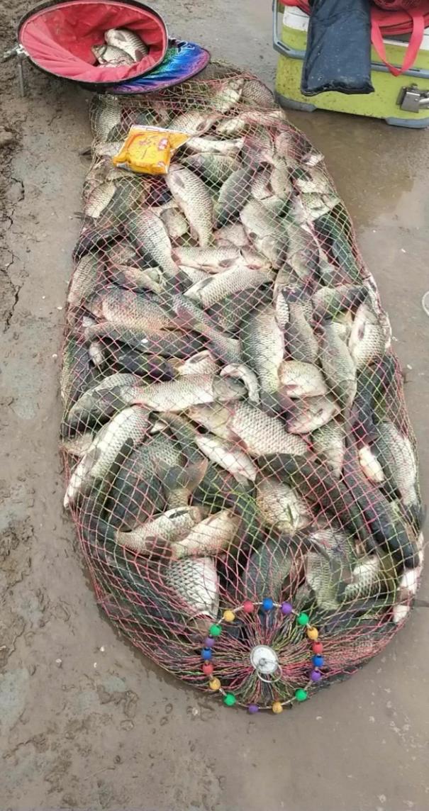 『玉米』「垂钓杂文」之一：一个人至少要有一个爱好