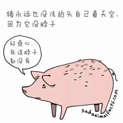 动物冷知识|这些动物冷知识,能知道五个就是大神了吧?