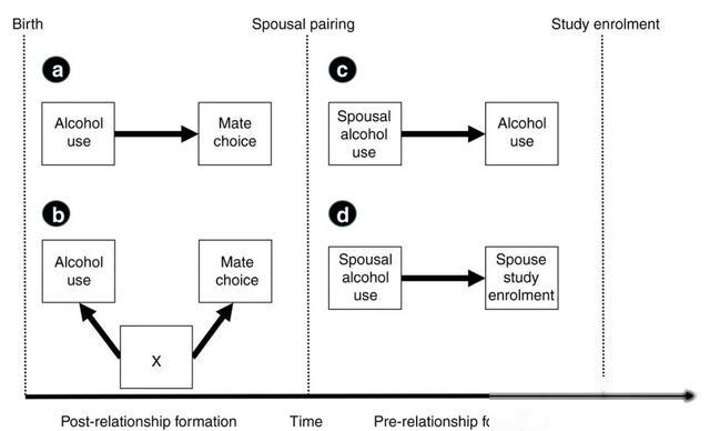 脑科学日报|科学家发现：精液中的这种分子让雌性果蝇记忆力更强