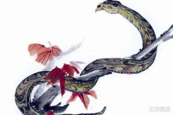 属蛇|生肖蛇9月以及下半年的运势，尤其是65、77年的，不是一般的准！