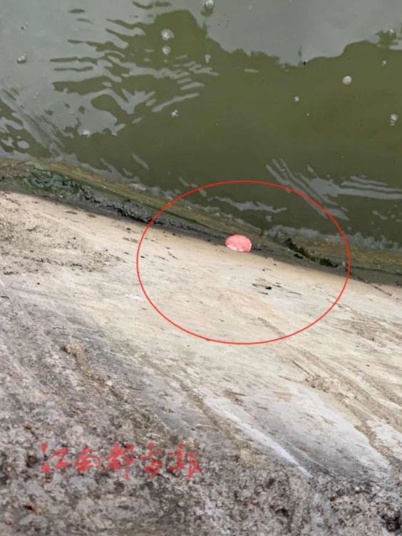 ＂原＂江南都市报|紧急提醒！江西多地已出现！