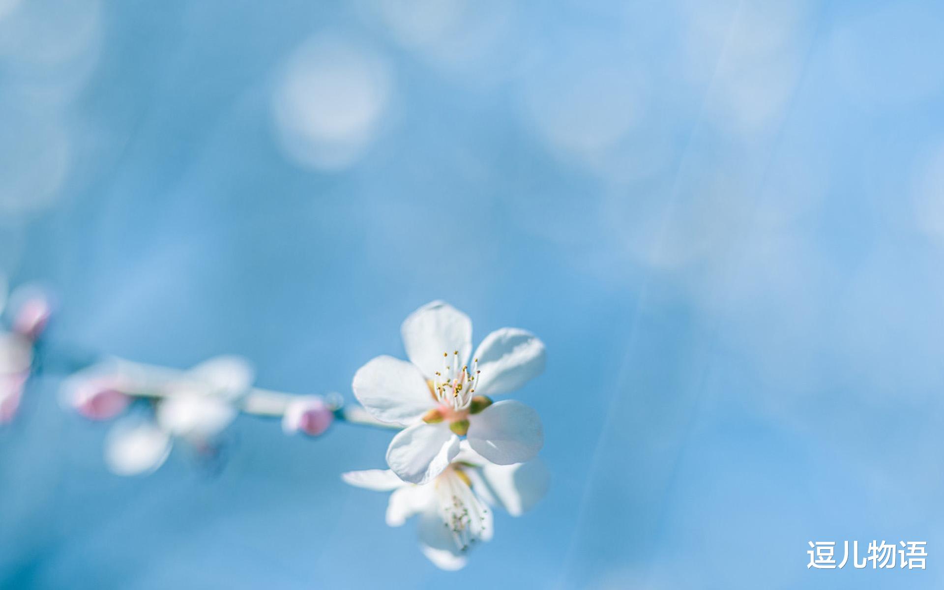 生肖@生肖虎“越老越穷”，脾气暴躁，思维狭窄，注定一事无成？