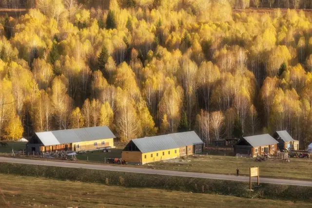 自驾|全国最早一波秋色来了!这6条自驾路线,9、10月美成天堂