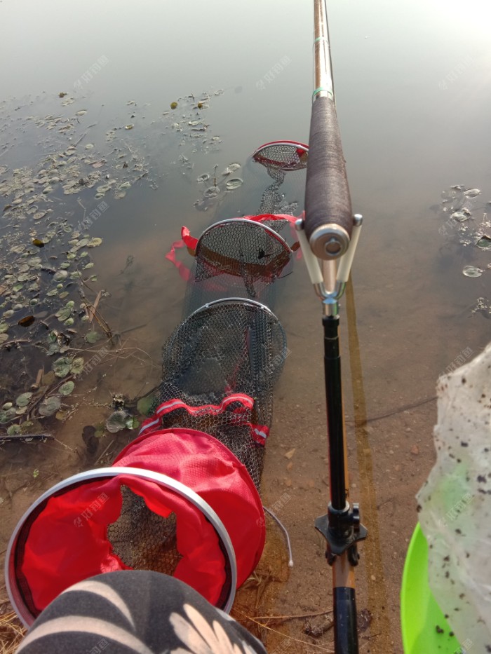 武汉|带伤上阵,电网工泛滥鱼获不佳