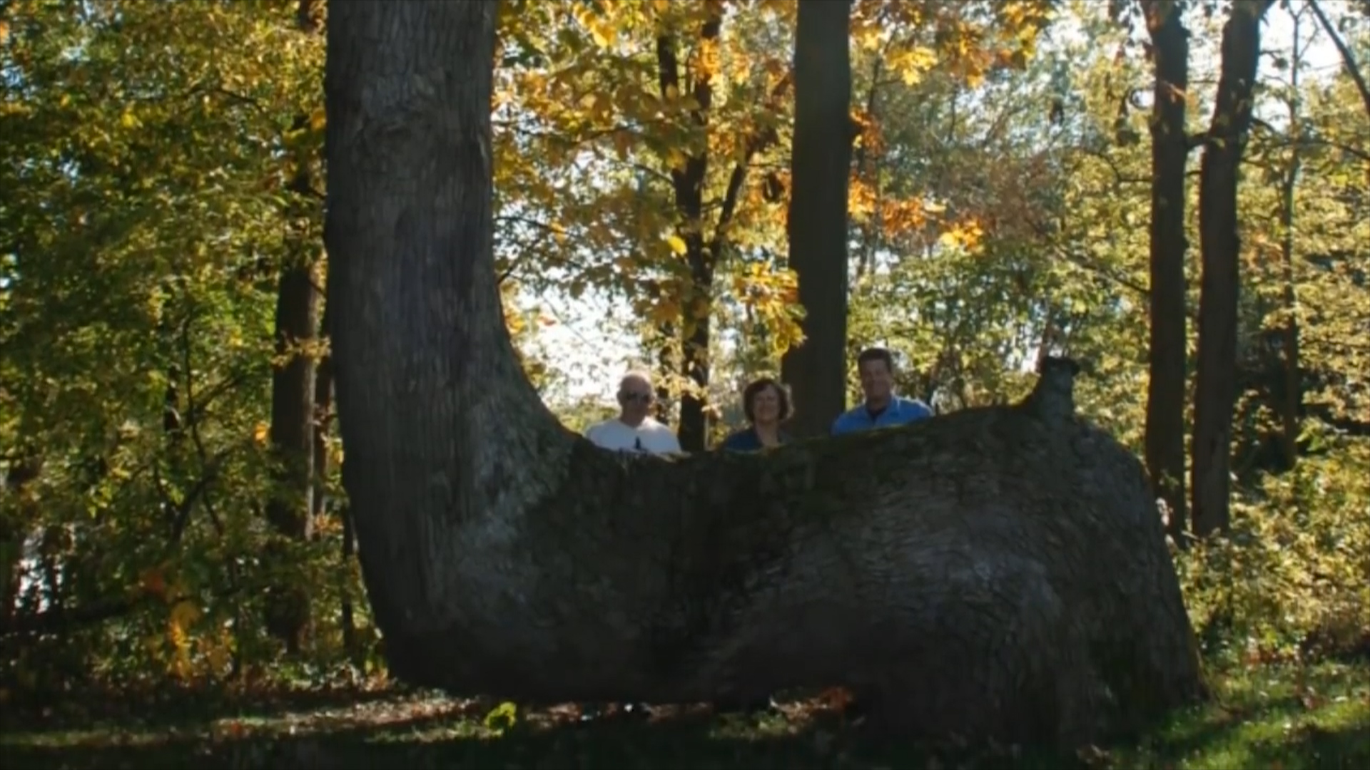 【恐龙】世界上这6个地方,似乎失去了引力,人能斜立不倒,石头能悬空