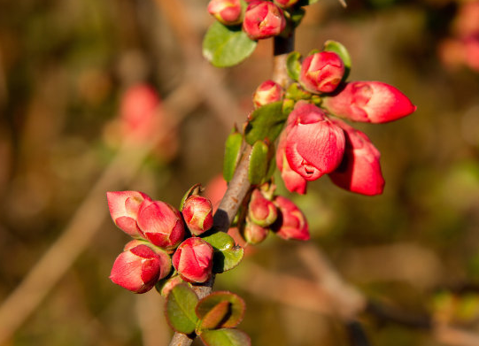 |未来7天内招财进宝,4属相福运双至,好运滚滚来,接财迎福