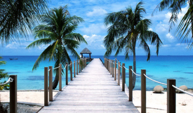 巴厘岛：中国游客又去了！好了伤疤忘了疼？国家表示：费用请自己承担！