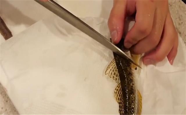 章鱼■亚洲最“残忍”鱼肴，活割鱼片后抛回水缸，鱼骨架竟出现这般景象