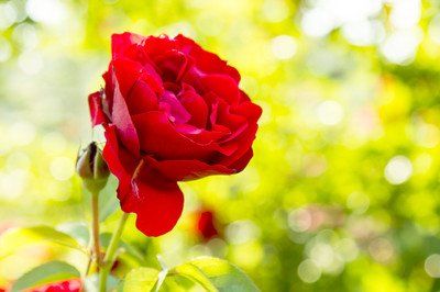 生肖|进入8月下旬，此3大生肖好运连连，事业蒸蒸日上，成功熬出头