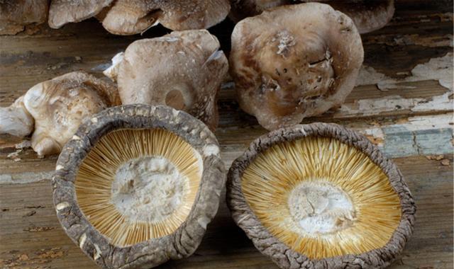 痛风|痛风“根源”并非喝酒，强调：3物请撤下饭桌，再馋也别往嘴里送