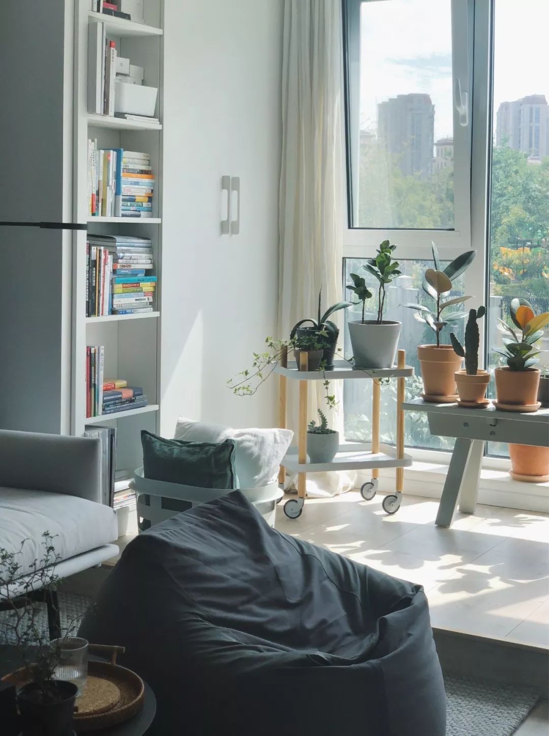 绿植怎么种更美？多种几盆，摆上架子，美出天际！