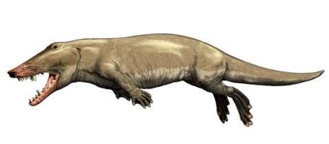 鲸鱼|它们比恐龙更可怕