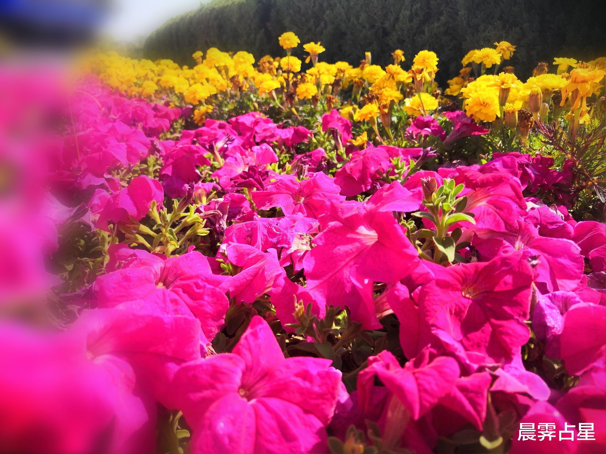 巨蟹座|本周9.19-9.25桃花运最旺的四个星座