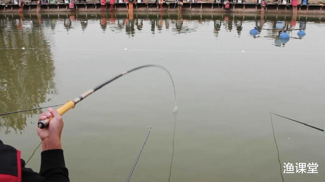 |钓鱼新手为啥总“提竿不中鱼”?主因很多人都忽略了,其实很简单