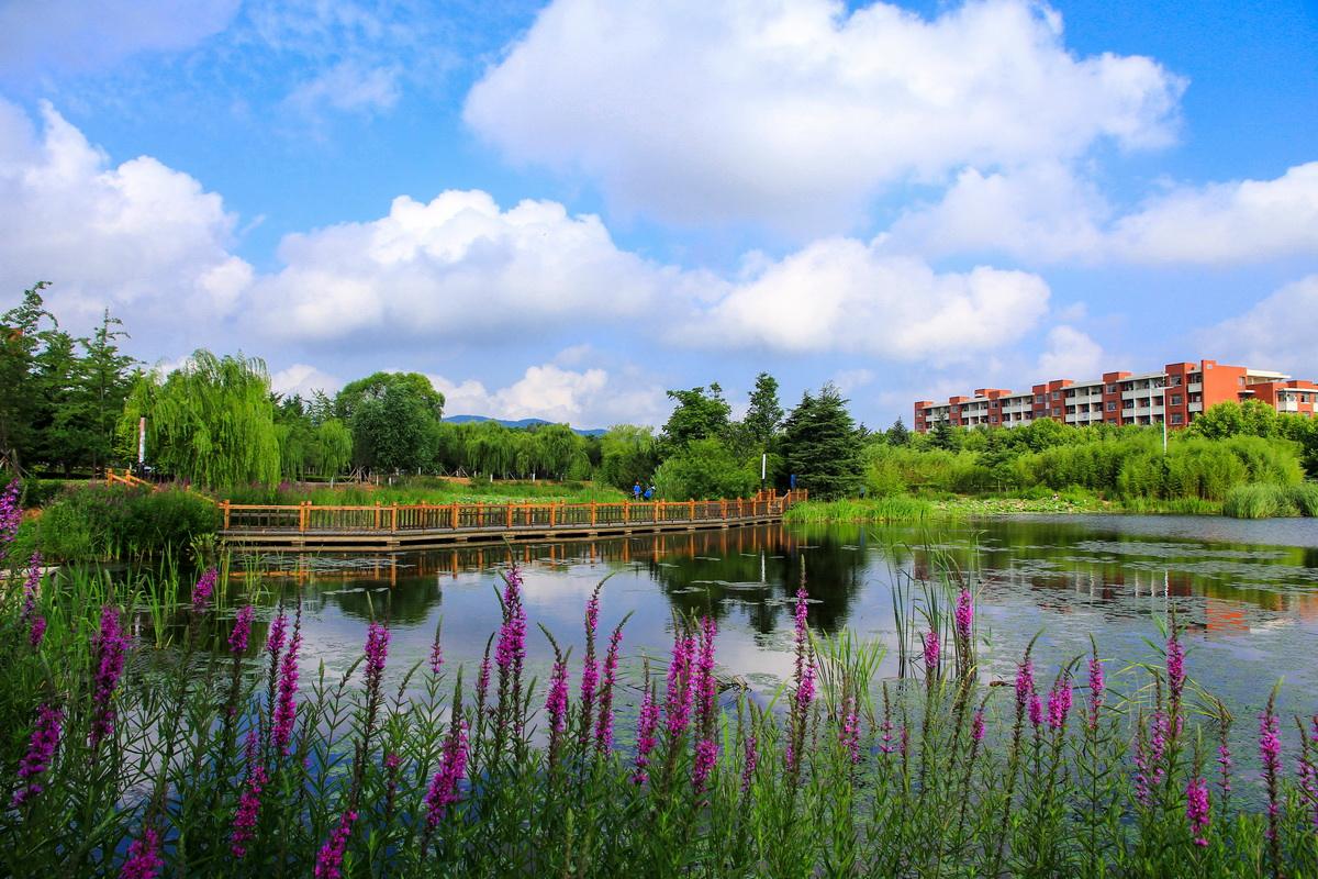 『中学』高考是一场赌博，赌上你的一生