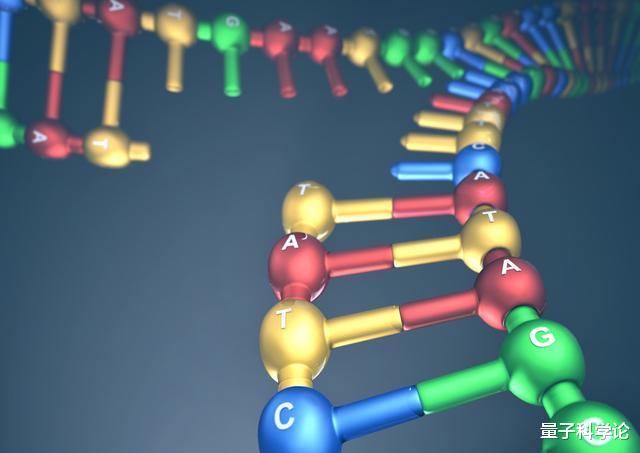 『基因』人类为什么没有「发情期」，而随时都可以？