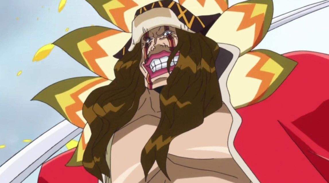 索隆|海贼王：盘点拥有恶魔果实能力的剑士，第1名没有什么争议吧？