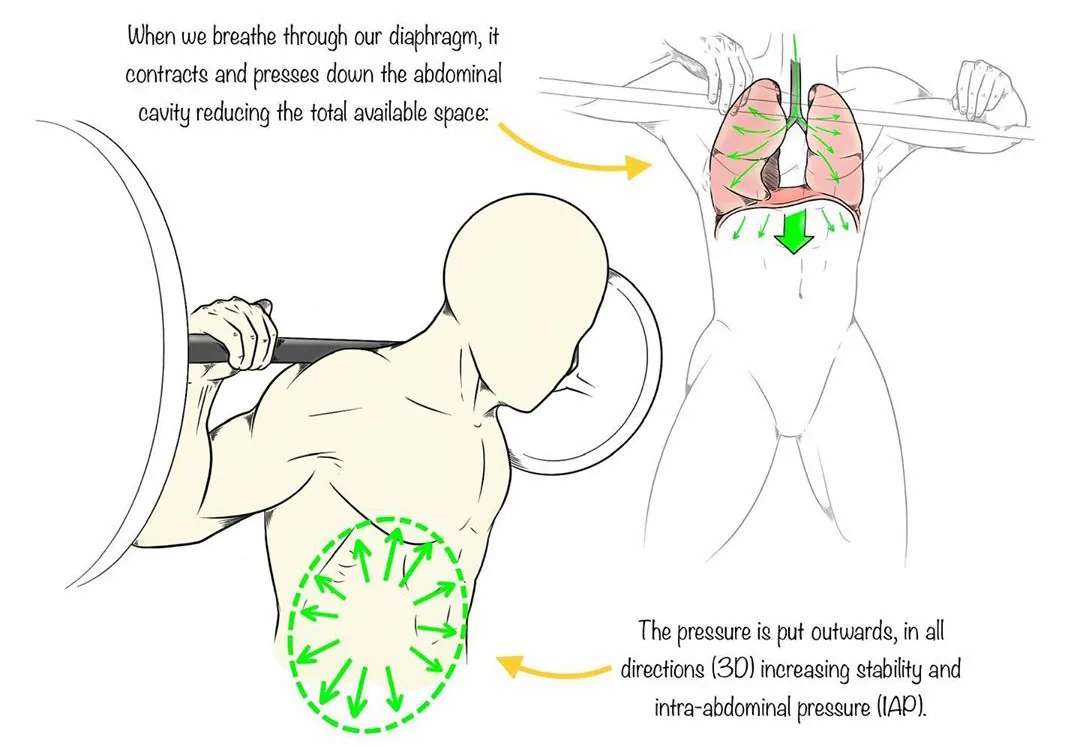 深蹲|男女都该多练的深蹲，你真的会练么？